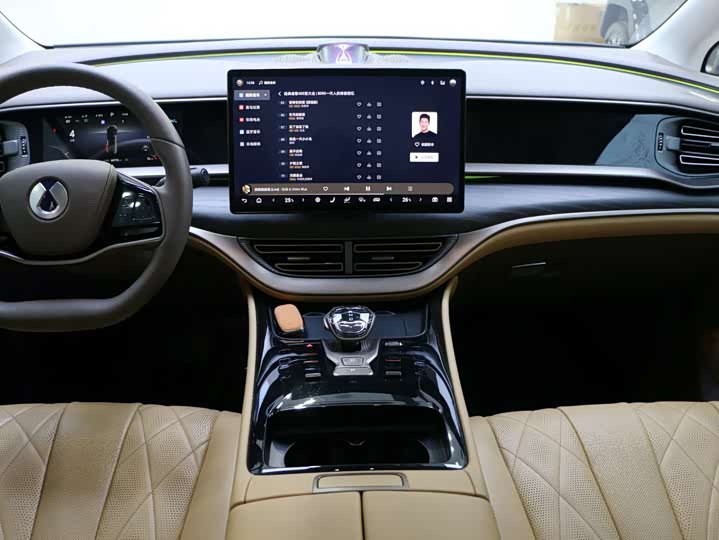 Фото 8 - Denza D9