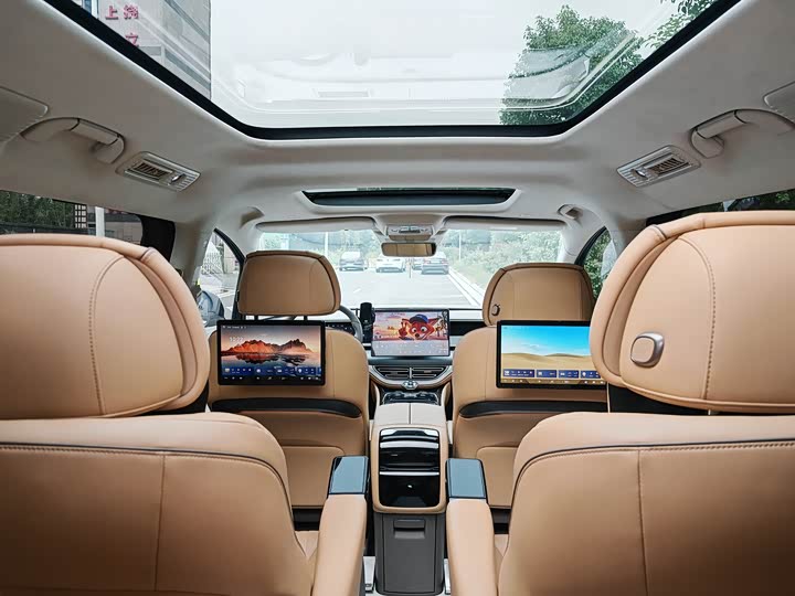 Фото 7 - Denza D9