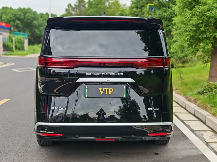 Фото 9 - Denza D9