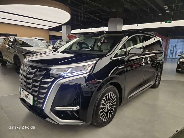 Фото 1 - Denza D9