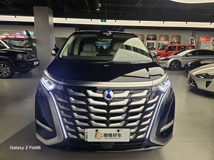 Фото 2 - Denza D9