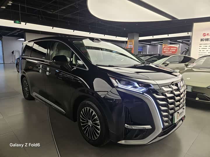 Фото 3 - Denza D9