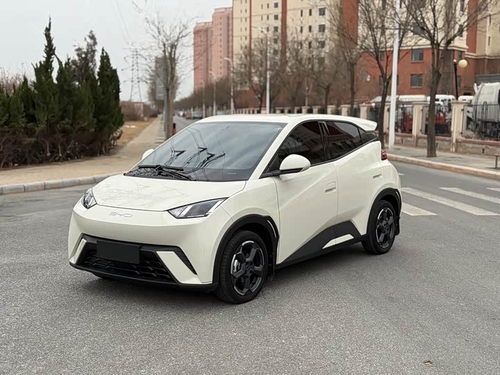 Фото 1 - BYD Seagull