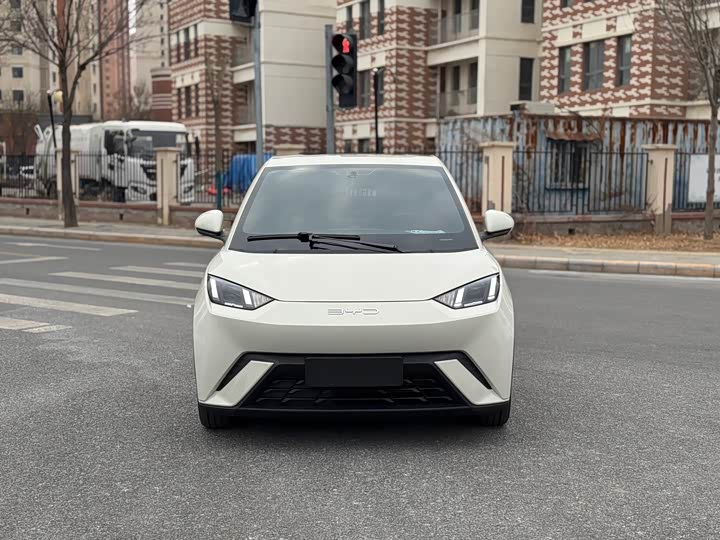 Фото 2 - BYD Seagull