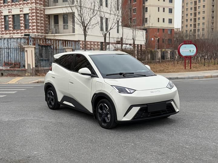 Фото 3 - BYD Seagull