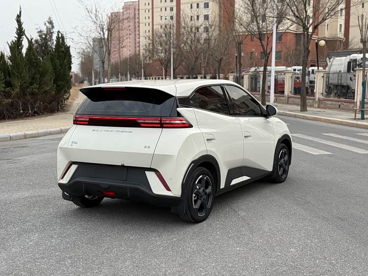 Фото 6 - BYD Seagull