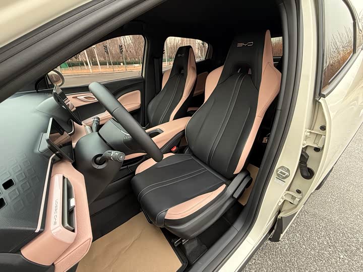 Фото 9 - BYD Seagull