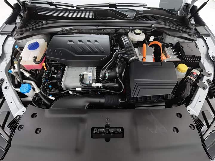 Фото 6 - Chery Fulwin A8L