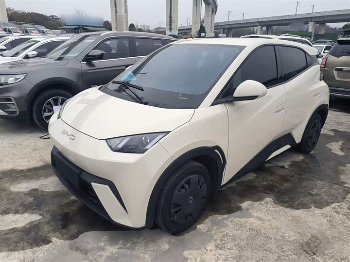 Фото 1 - BYD Seagull