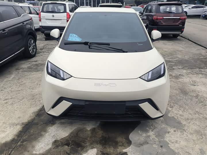 Фото 3 - BYD Seagull