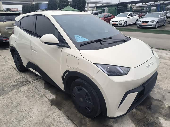 Фото 4 - BYD Seagull