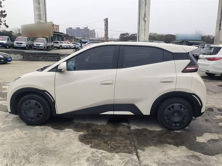 Фото 5 - BYD Seagull