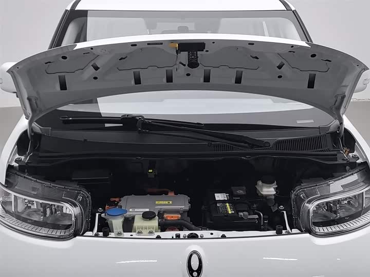 Фото 6 - Ora White Cat