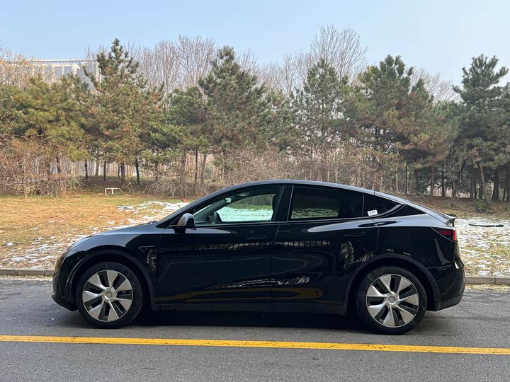 Фото 4 - Tesla Model Y