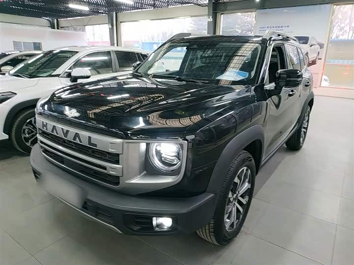 Фото 2 - Haval Dargo