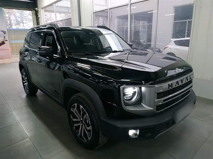 Фото 4 - Haval Dargo