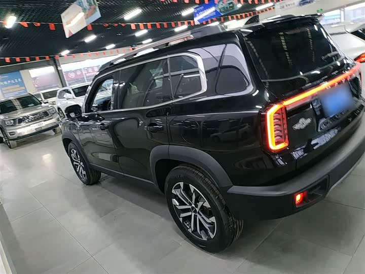 Фото 5 - Haval Dargo