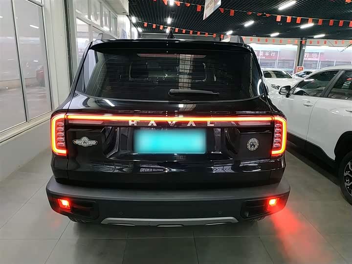 Фото 6 - Haval Dargo