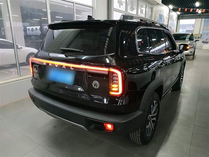 Фото 7 - Haval Dargo