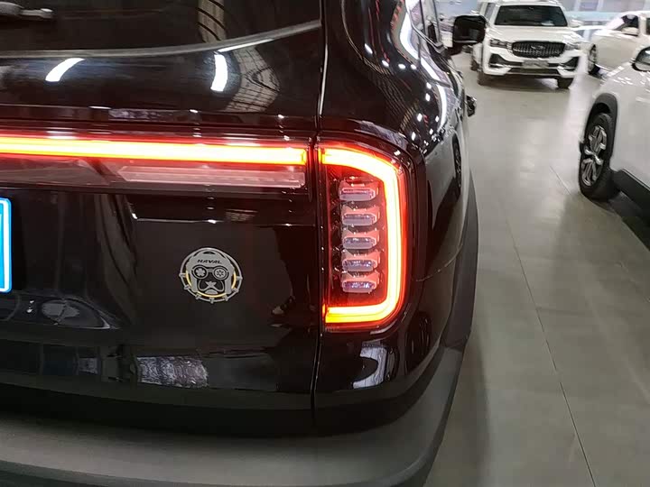 Фото 8 - Haval Dargo