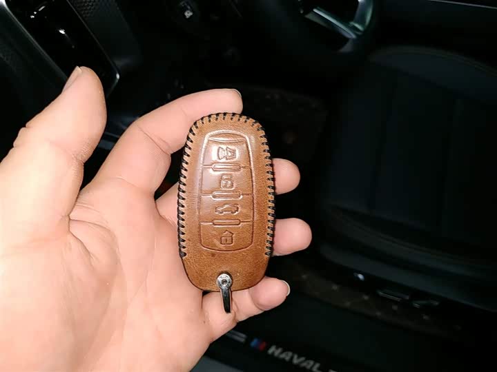 Фото 9 - Haval Dargo