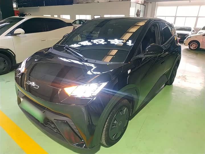 Фото 2 - BYD Seagull