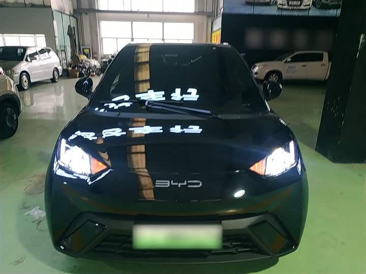 Фото 3 - BYD Seagull