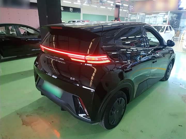 Фото 7 - BYD Seagull