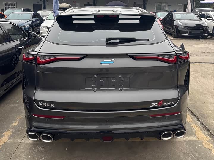 Фото 4 - Changan Oshan Z6