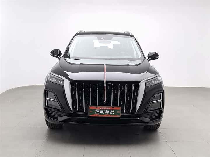 Фото 3 - Hongqi HS5