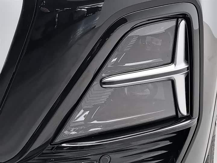 Фото 7 - Hongqi HS5