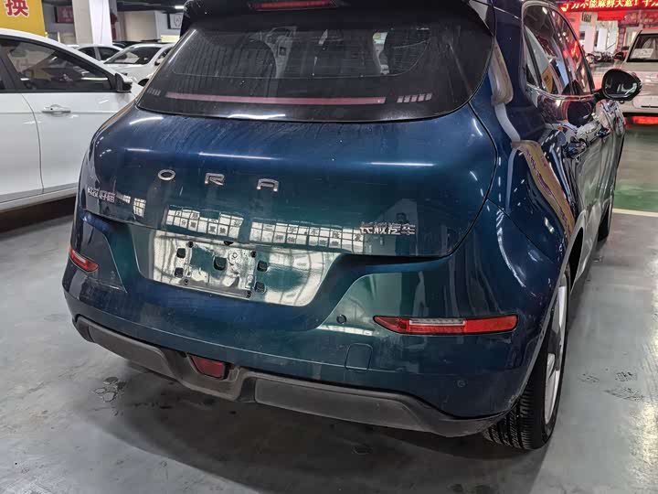 Фото 3 - Ora Good Cat (03)