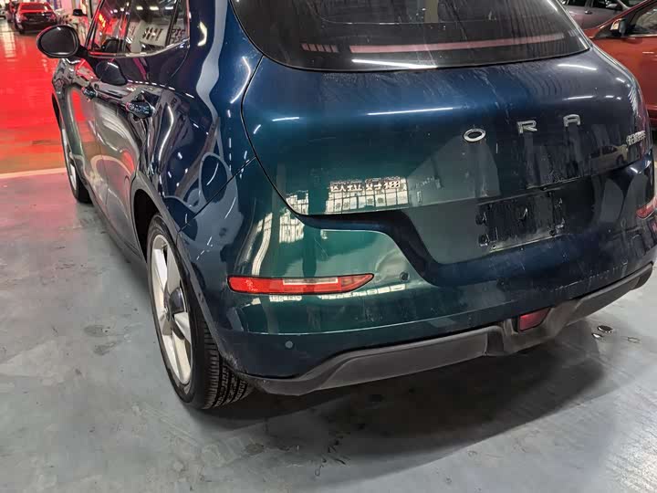 Фото 4 - Ora Good Cat (03)