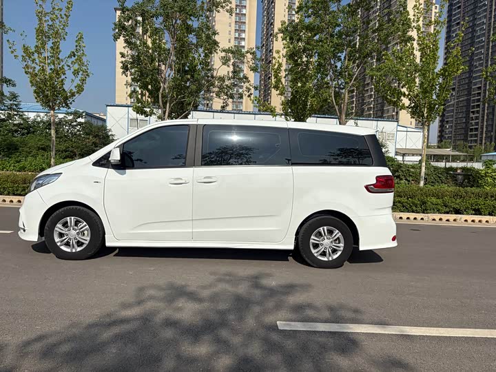 Фото 7 - Maxus G10