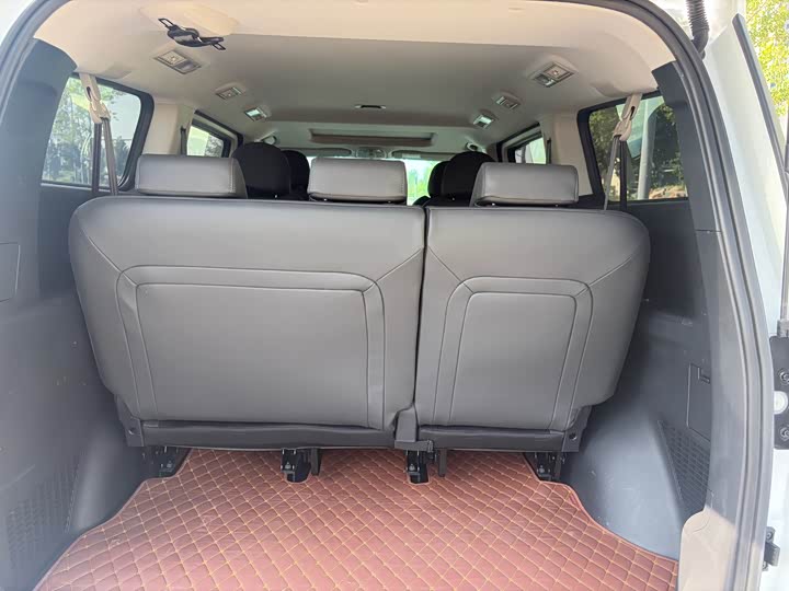 Фото 8 - Maxus G10