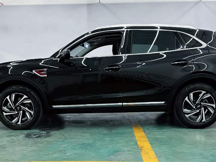 Фото 6 - Hongqi HS5