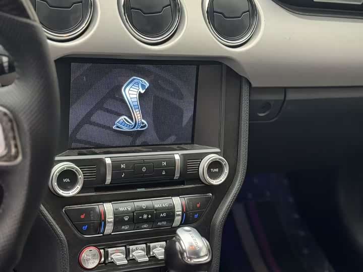 Фото 5 - Ford Mustang