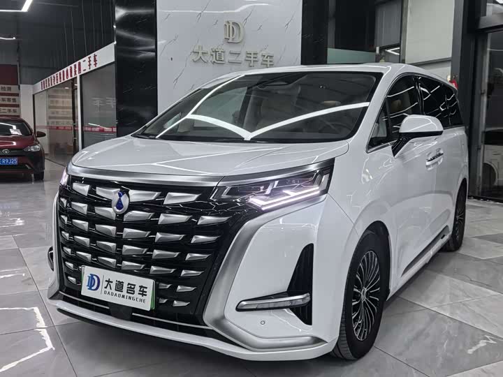 Фото 1 - Denza D9