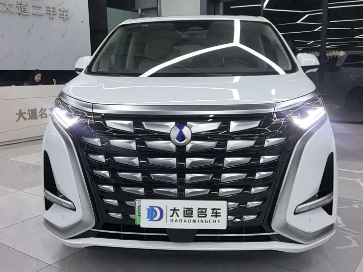 Фото 2 - Denza D9