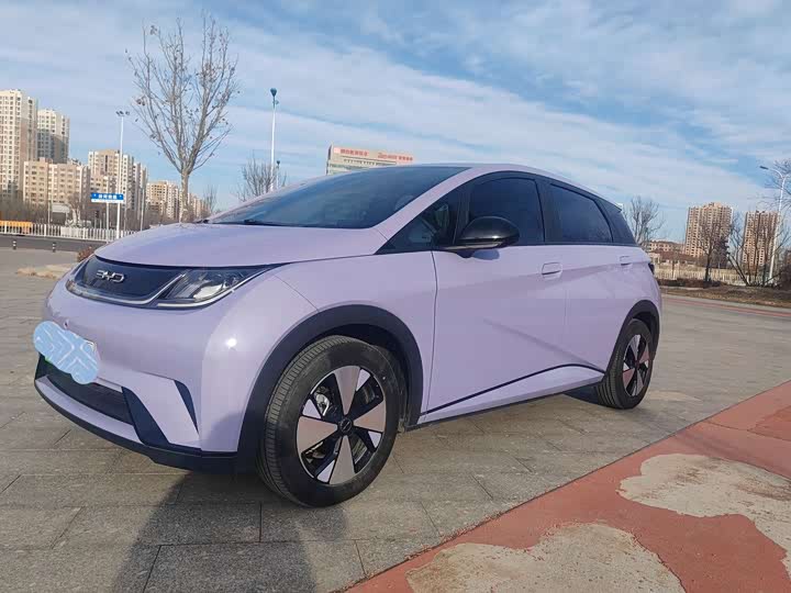 Фото 1 - BYD Dolphin