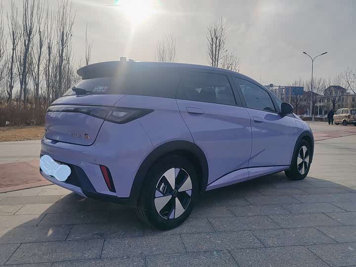 Фото 4 - BYD Dolphin