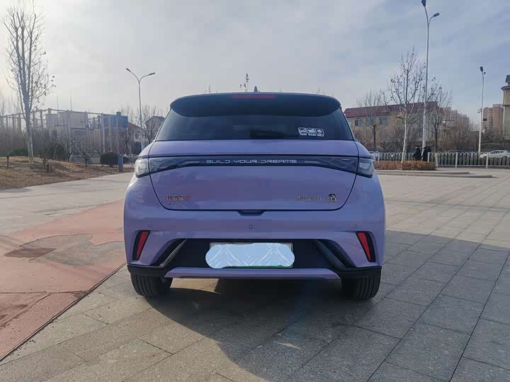 Фото 5 - BYD Dolphin