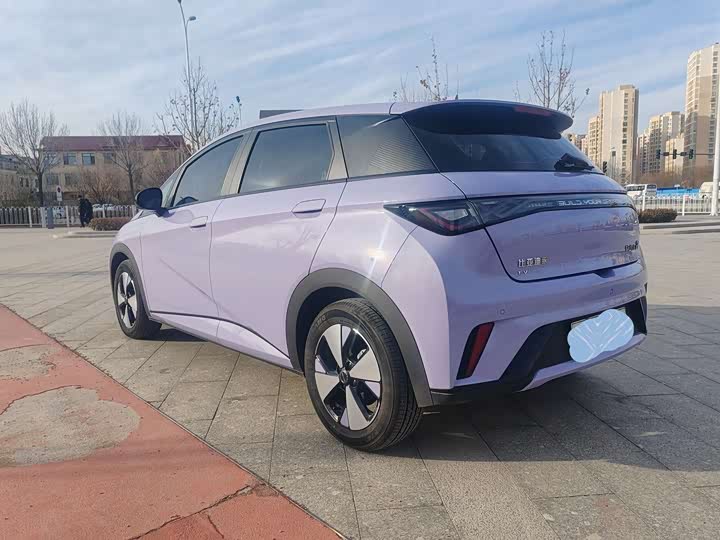 Фото 6 - BYD Dolphin