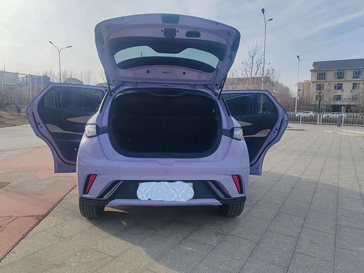 Фото 7 - BYD Dolphin