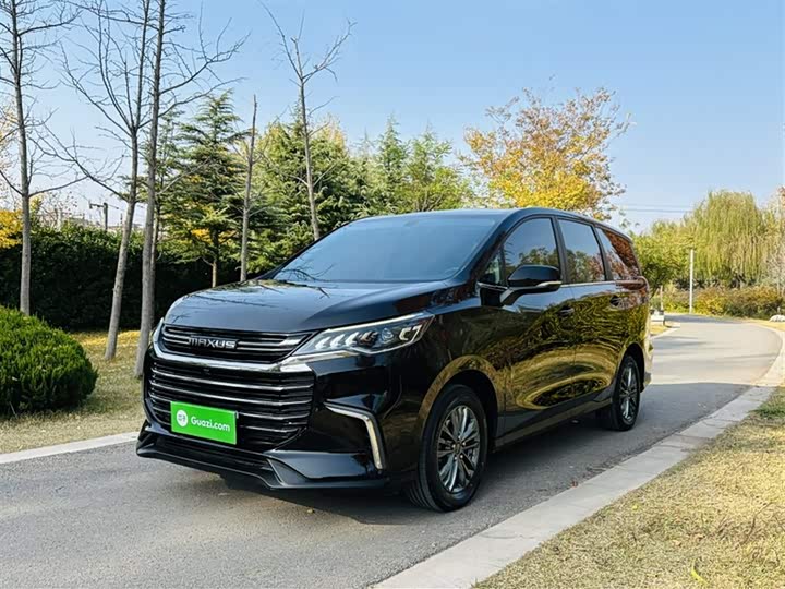 Фото 2 - Maxus G50