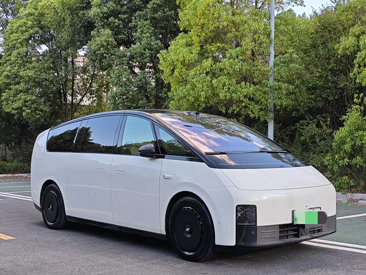 Фото 3 - LiXiang Mega