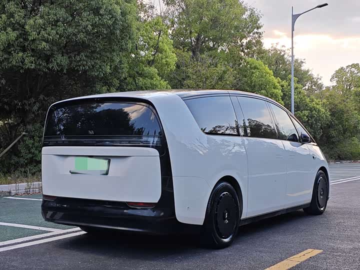 Фото 4 - LiXiang Mega