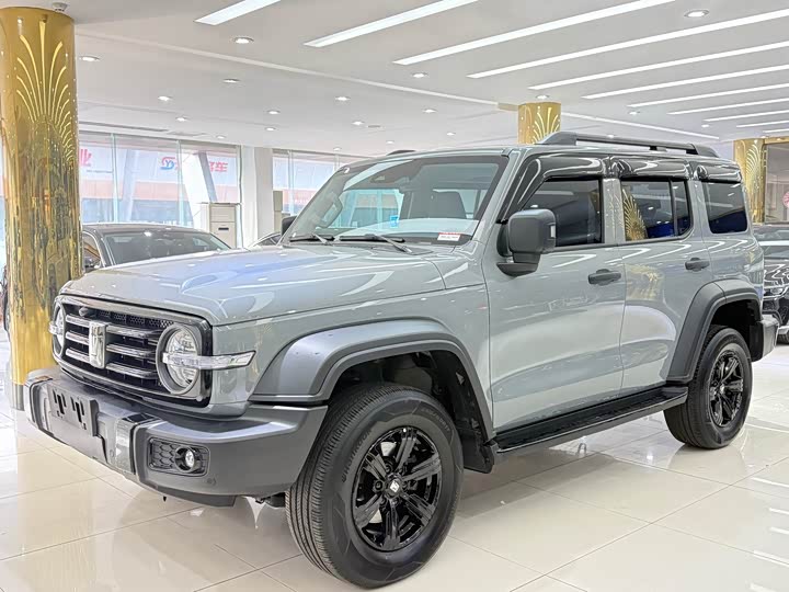 Фото 2 - Tank 300