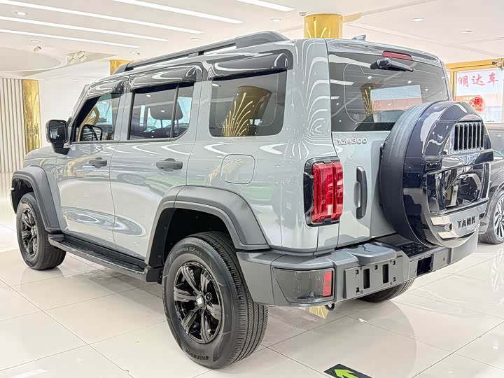 Фото 4 - Tank 300