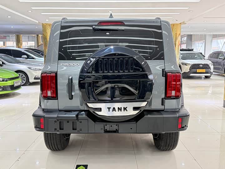 Фото 5 - Tank 300